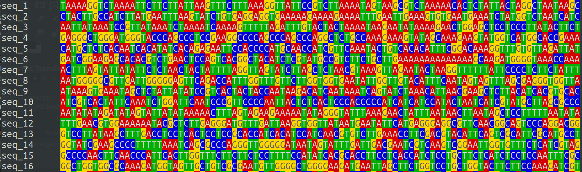 DNA sequence